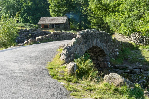 Schambeinbrücke — Stockfoto