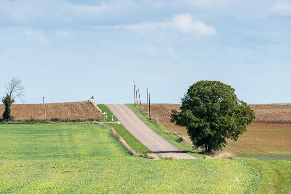 Blick über die Landschaft bei Larret in der franche-comte regio — Stockfoto