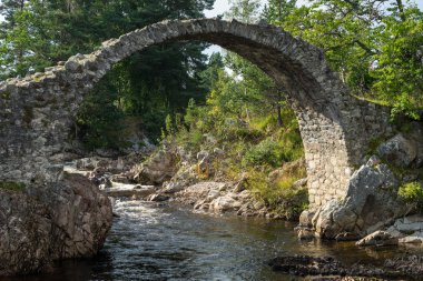 Carrbridge, Badenoch ve Strathspey/İskoçya - 28 Ağustos: Packh