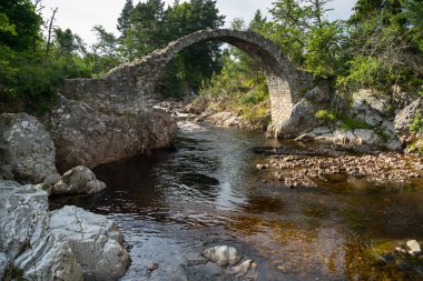 Carrbridge, Badenoch ve Strathspey/İskoçya - 28 Ağustos: Packh