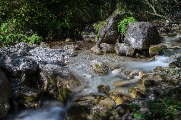 Piccole rapide al torrente Val Vertova Lombardia vicino Bergamo in — Foto Stock