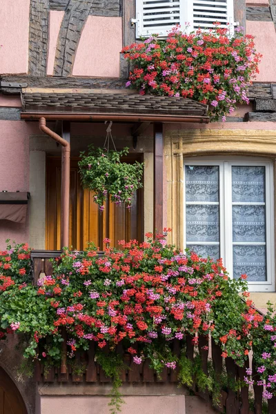 EGUISHEIM, FRANCE/ EUROPE - SEPTEMBER 23: Geraniums outside a ho — Stock Photo, Image