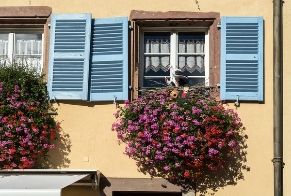Eguisheim, Fransa / Avrupa - 23 Eylül: sardunyalar dışında bir ho — Stok fotoğraf