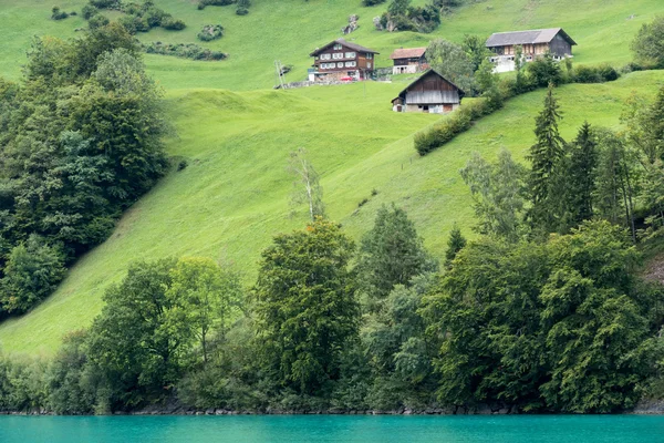 SACHSELN, SWITZERLAND/ EUROPE - SEPTEMBER 22:  View houses along — Zdjęcie stockowe