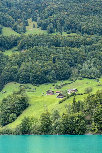 SACHSELN, SWITZERLAND/ EUROPE - SEPTEMBER 22:  View houses along — Stock fotografie