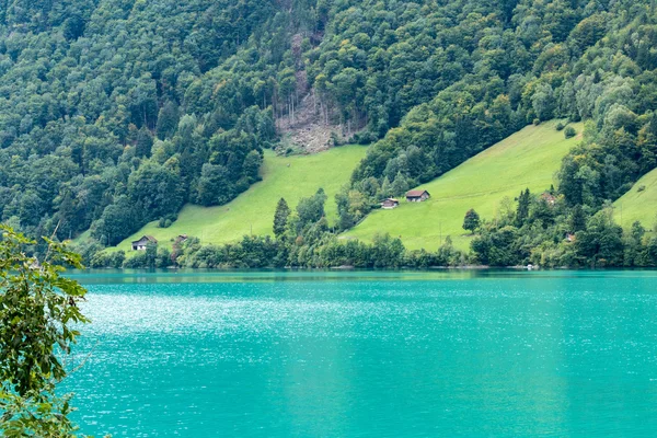 SACHSELN, SUIZA / EUROPA - 22 DE SEPTIEMBRE: Ver casas a lo largo —  Fotos de Stock