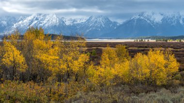 Осінь у Гранд tetons