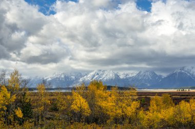 Осінь у Гранд tetons
