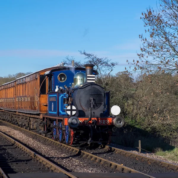 SHEFFIELD PARK, ESTE DE SUSSEX / Reino Unido - 22 de noviembre: Bluebell Steam Tr —  Fotos de Stock