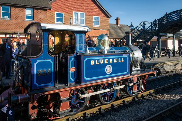 SHEFFIELD PARK, ESTE DE SUSSEX / Reino Unido - 22 de noviembre: Bluebell Steam Tr — Foto de Stock