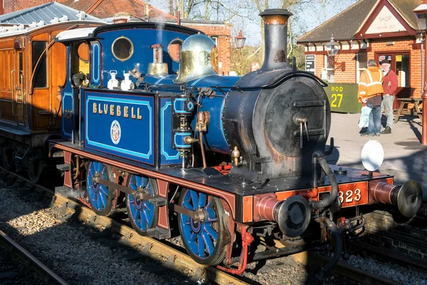 SHEFFIELD PARK, EAST SUSSEX / UK - NOVEMBRO 22: Bluebell Steam Tr — Fotografia de Stock