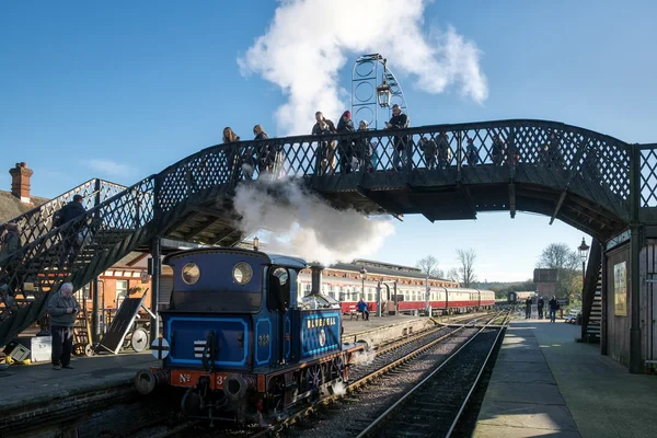 SHEFFIELD PARK, EAST SUSSEX / UK - NOVEMBRO 22: Bluebell Steam Tr — Fotografia de Stock