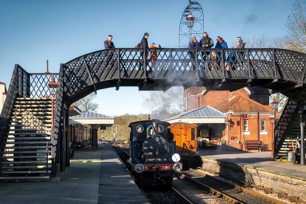 SHEFFIELD PARK, EAST SUSSEX/UK - NOVEMBER 22 : Bluebell Steam Tr — Stock Photo, Image