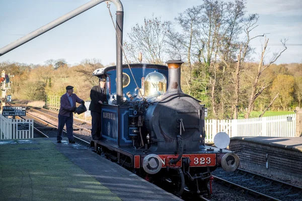 SHEFFIELD PARK, EAST SUSSEX / UK - NOVEMBER 22: Bluebell Steam Tr. — стоковое фото