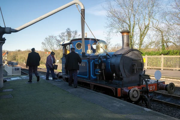 SHEFFIELD PARK, ESTE DE SUSSEX / Reino Unido - 22 de noviembre: Bluebell Steam Tr — Foto de Stock