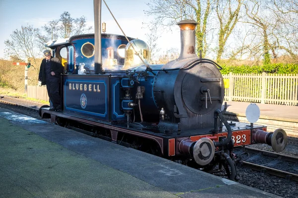 SHEFFIELD PARK, SUSSEX EST / UK - 22 NOVEMBRE : Bluebell Steam Tr — Photo
