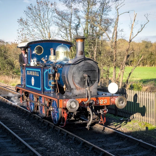 SHEFFIELD PARK, EAST SUSSEX/UK - NOVEMBER 22 : Bluebell approach — Stock Photo, Image