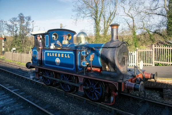 SHEFFIELD PARK, ESTE DE SUSSEX / UK - 22 DE NOVIEMBRE: Enfoque Bluebell —  Fotos de Stock