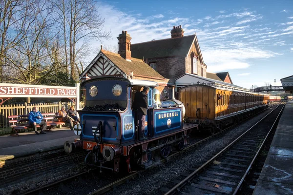 SHEFFIELD PARK, ESTE DE SUSSEX / Reino Unido - 22 de noviembre: Bluebell Steam Tr —  Fotos de Stock