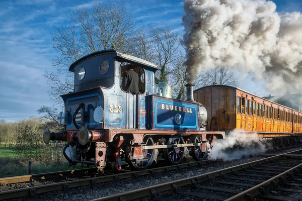 SHEFFIELD PARK, EAST SUSSEX/UK - NOVEMBER 22 : Bluebell leaving — Stock Photo, Image