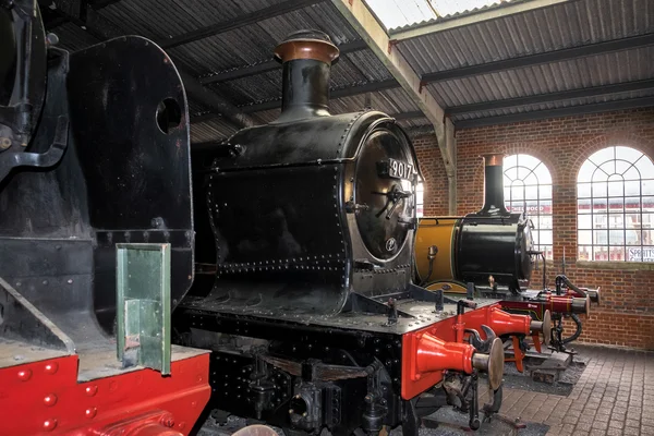 SHEFFIELD PARK, EAST SUSSEX/UK - NOVEMBER 22 : Old steam trains — Zdjęcie stockowe