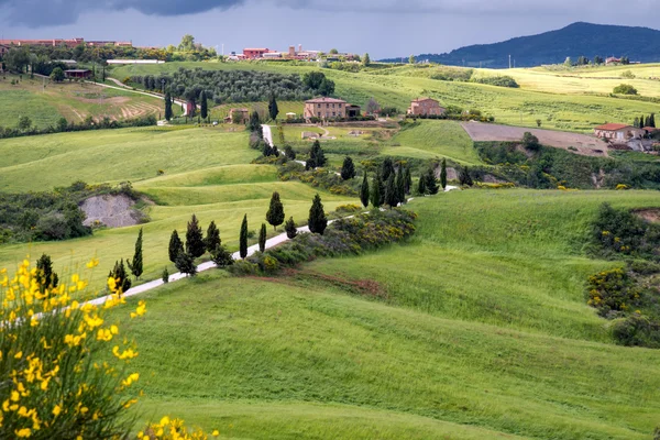 Val D'Orcia, Toscane/Italie - 17 mei: Val d'Orcia in Toscane op — Stockfoto