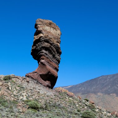 Teide Dağı ve rock ağacı olarak adlandırılan