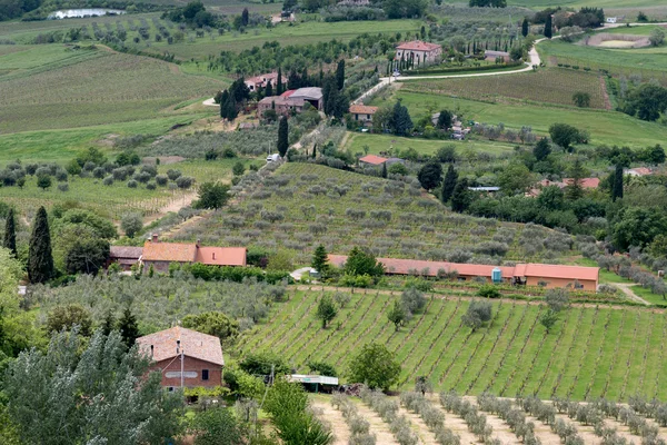 Montepulciano, toskana / italien - mai 17: landwirtschaft in val d 'orcia — Stockfoto