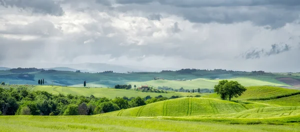 VAL D'ORCIA, TOSCANA / ITALIA - 17 MAGGIO: Terreno agricolo in Val d'Orcia Tu — Foto Stock