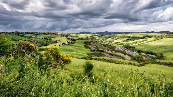 Val d 'orcia in der Toskana — Stockfoto