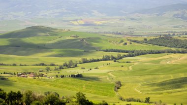 Pienza, Toskana/İtalya - Mayıs 18: Kırsal Val d'Orcia yakınındaki
