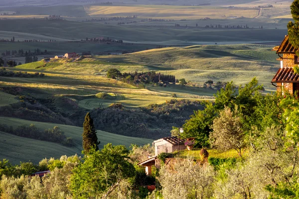 VAL D'ORCIA, TUSCANIE / ITALIE - 18 MAI : Vue de la Val d'Orcia à Tus — Photo