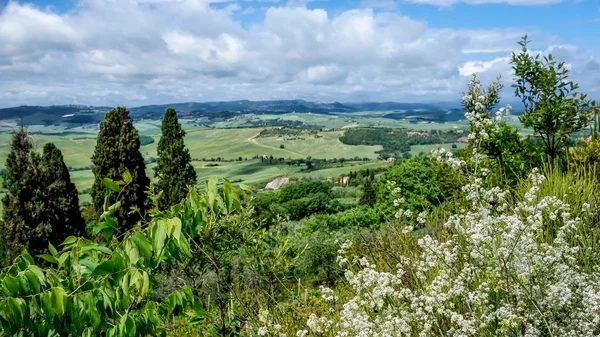 Campagna della Val d'Orcia Toscana — Foto Stock