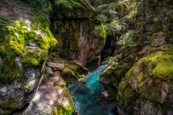 Olhando para Avalanche Creek — Fotografia de Stock