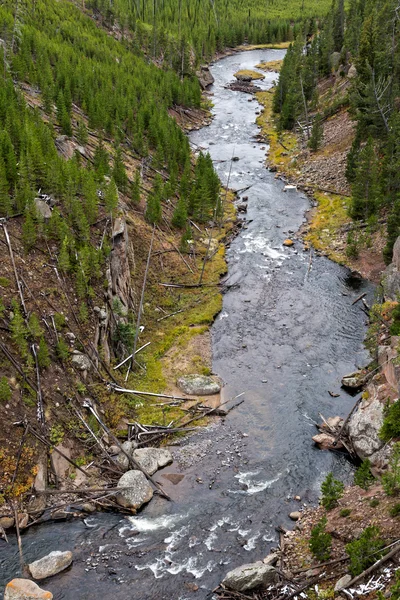 Vista del río Gibbon en Yellowstone —  Fotos de Stock