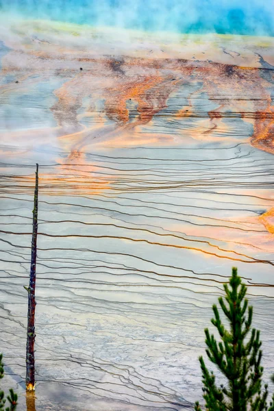 View of the Grand Prismatic Spring — Stock Photo, Image