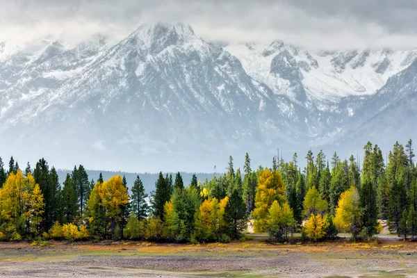 Ősszel a grand tetons — Stock Fotó