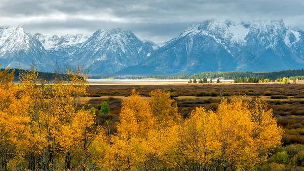 Autumn in the Grand Tetons — Stock Photo, Image