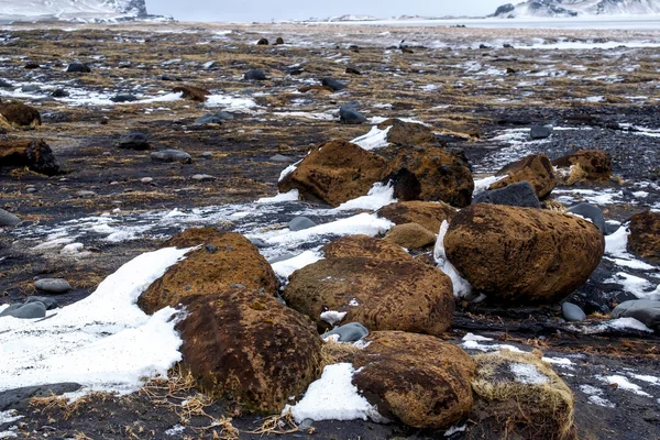 Вулканический пляж Рейнисфьяра зимой — стоковое фото