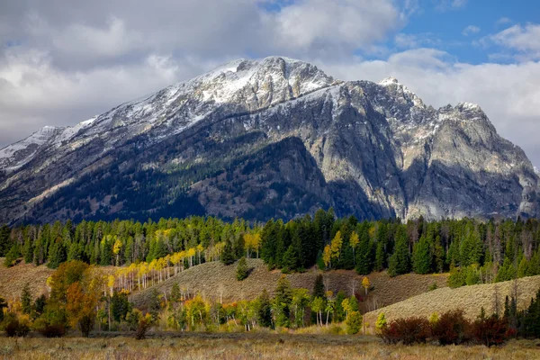 Cores de outono em Wyoming — Fotografia de Stock