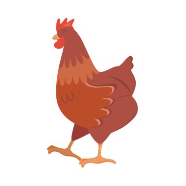 Beyaz şeffaf arka planda izole edilmiş sevimli kahverengi tavuk. Vektör düz tasarım çocuk çizimi. Yan görüş. Çiftlik hayvanı çizimi. Yan görünüm