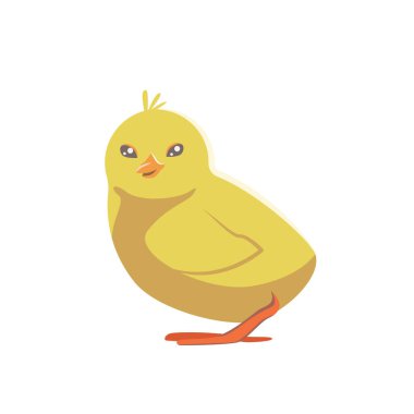 Beyaz şeffaf arka planda izole edilmiş tatlı bir piliç..