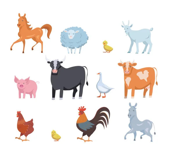 Set of Cute farm domestic animals and birds isolated on white transparent background. — Stock Vector