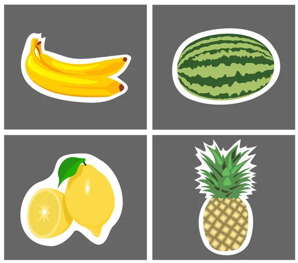 Four species of fruit — Stock Vector