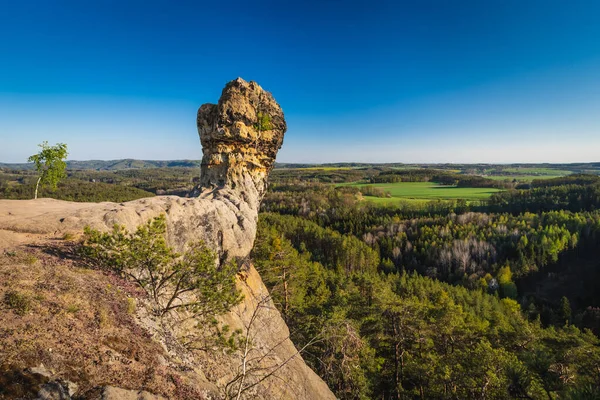 Klippformation Kallas Capska Palice Ovanför Den Djupa Skogen Kokorinsko Tjeckien — Stockfoto