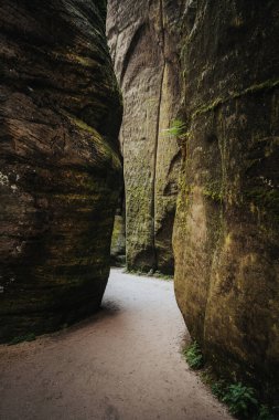 Adrpach Teplice Kayalıkları 'ndaki turizm pisti alışılmadık kum taşı oluşumları kümesidir.