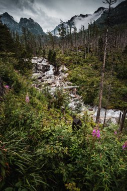 Cold Creek büyük bir araziden akar ve güzel çağlayanlar ve kataraktlar yaratır..