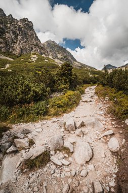 Yaz mevsiminde High Tatras 'ta yürüyüş için bir yol