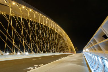 Truva Köprüsü