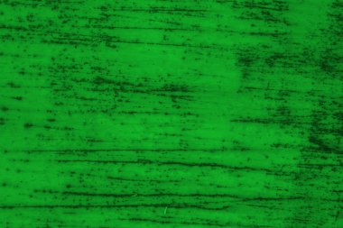 yeşil duvar dokusu